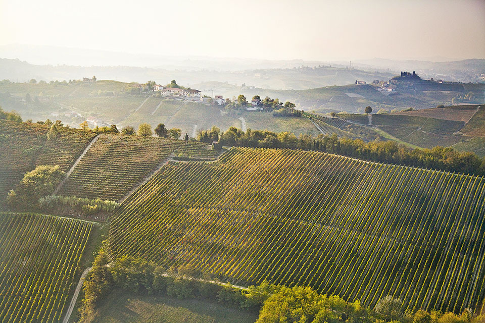 Vigneto Montemareto