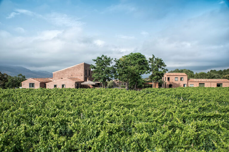 Tenuta e vigneti di Cavanera