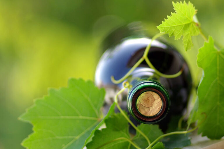 Torna in Maremma la rassegna degustazione nazionale dedicata ai vini da agricoltura biologica e biodinamica: ecco come partecipare