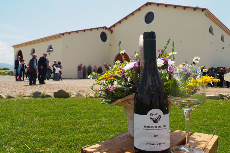 Antonella Corda: food&wine tra i vigneti per cantine aperte