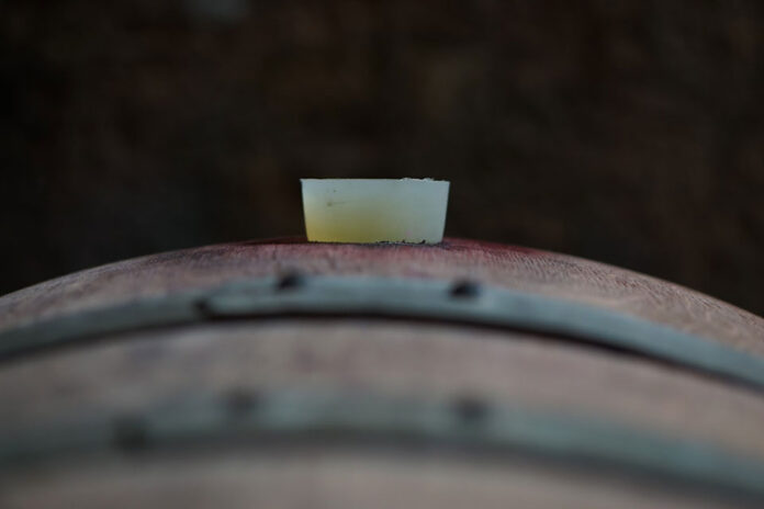 botte vino