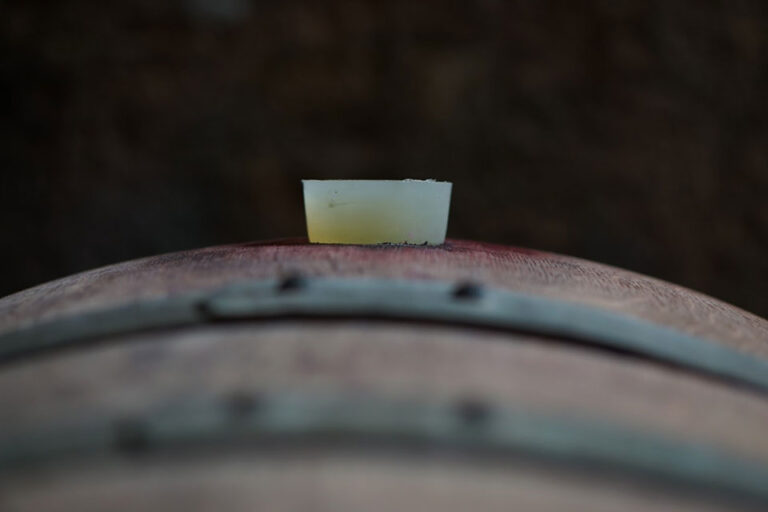 botte vino