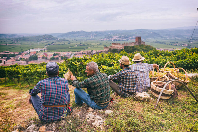 Consorzio Tutela Soave