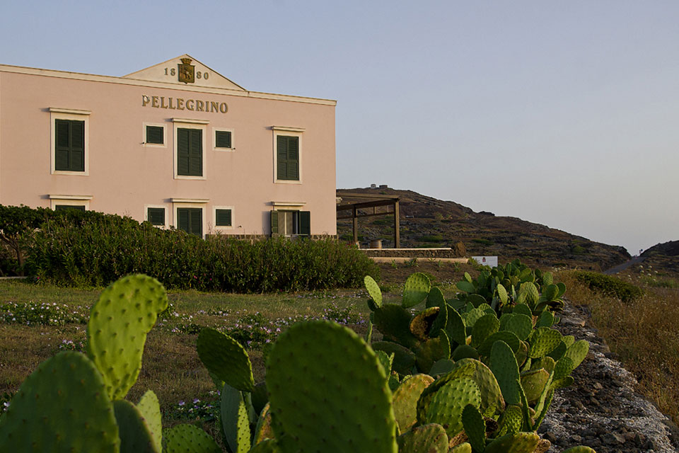 cantine pellegrino