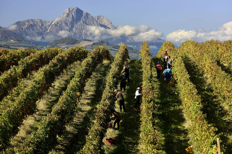 L’Abruzzo si racconta attraverso i suoi vini