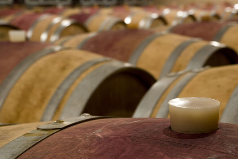 Coronavirus, la filiera del vino scrive alla ministra Bellanova