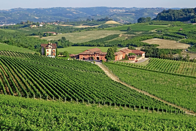 Terre Miroglio supera i 120 ettari di proprietà con nuove acquisizioni