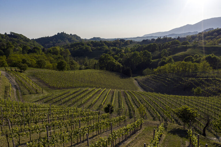 Asolo Prosecco, al via il nuovo piano di “cru” di collina