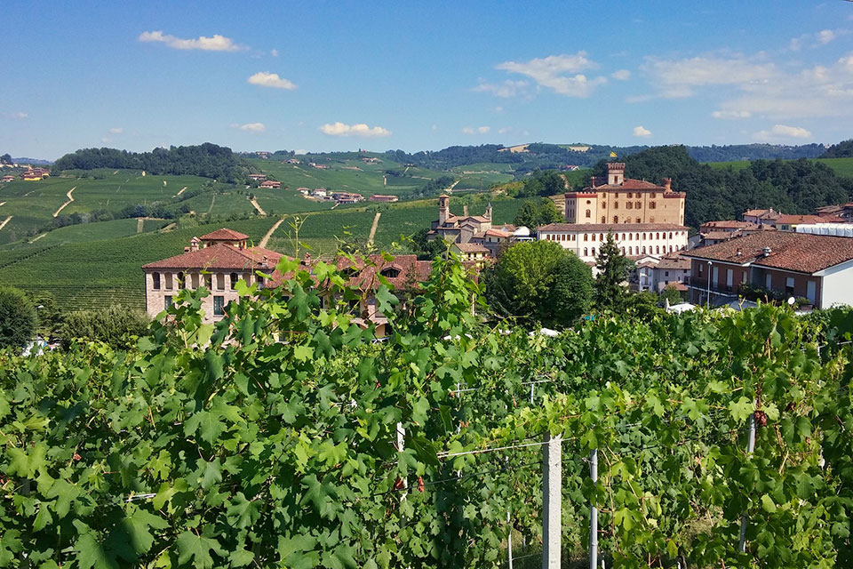 Barolo tra le vigne