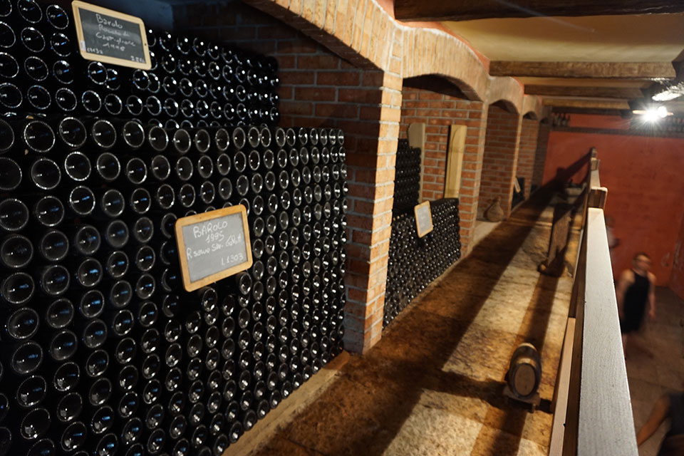 Interno di una cantina