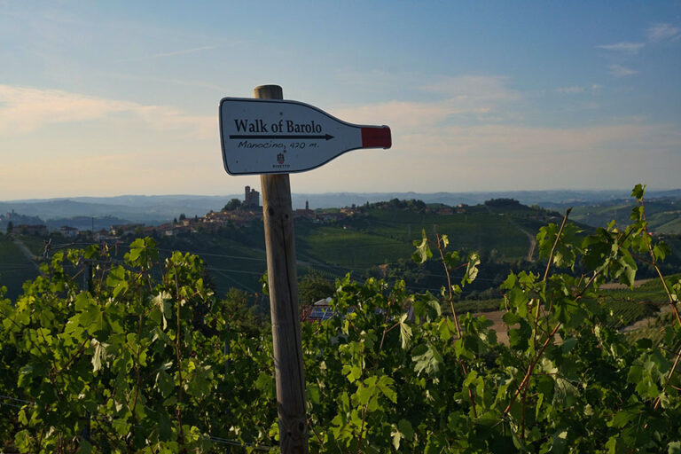 Walk of Barolo Rivetto