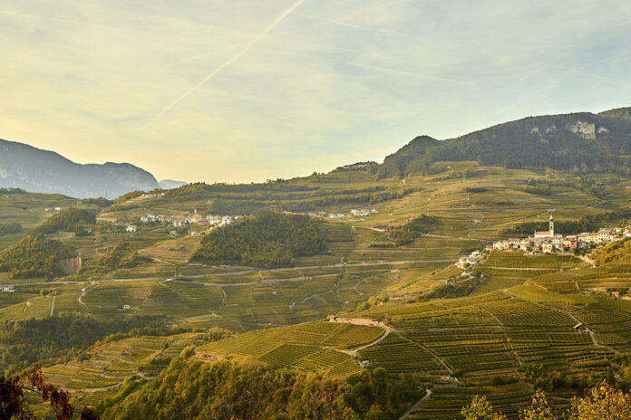 vigneti in val di cembra