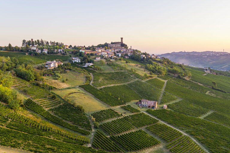 Vigneti Castello di Cigognola