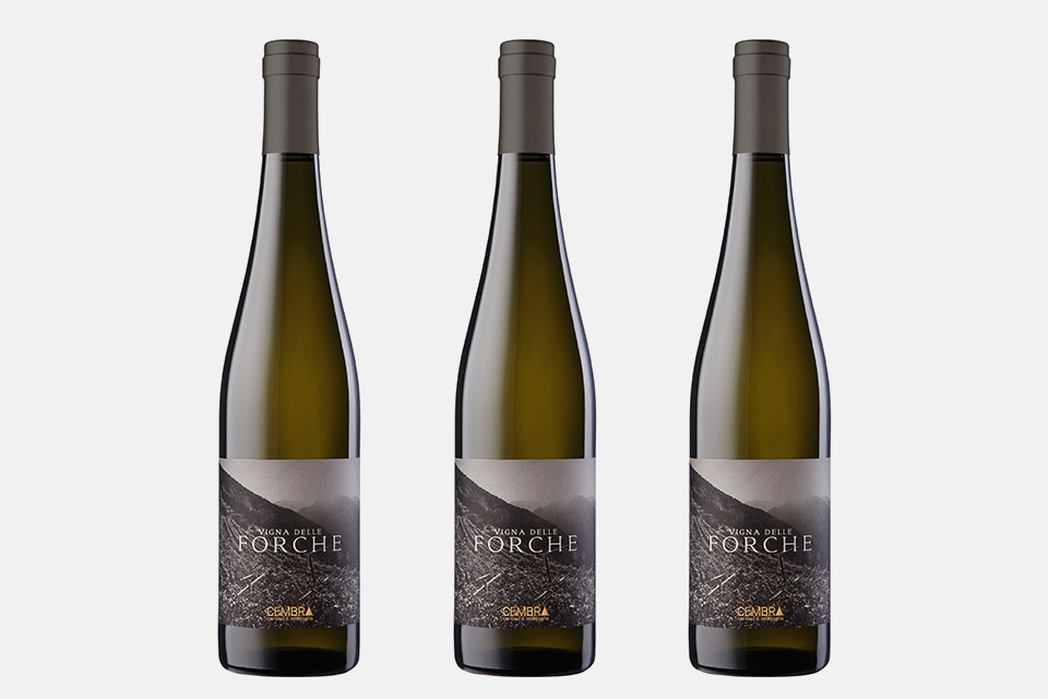 Vigna delle Forche