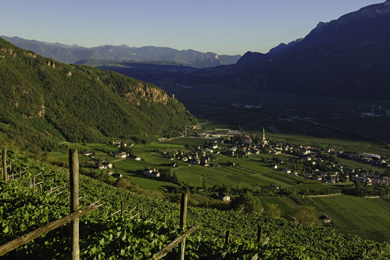 Vigneti Cantina Terlano