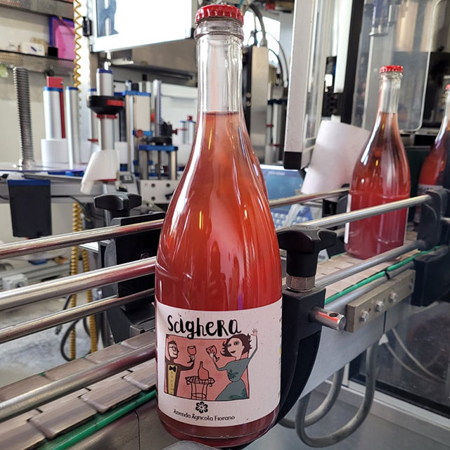 vino frizzante scighera