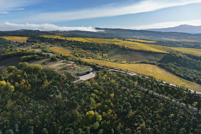 Cantina Tenuta Luce