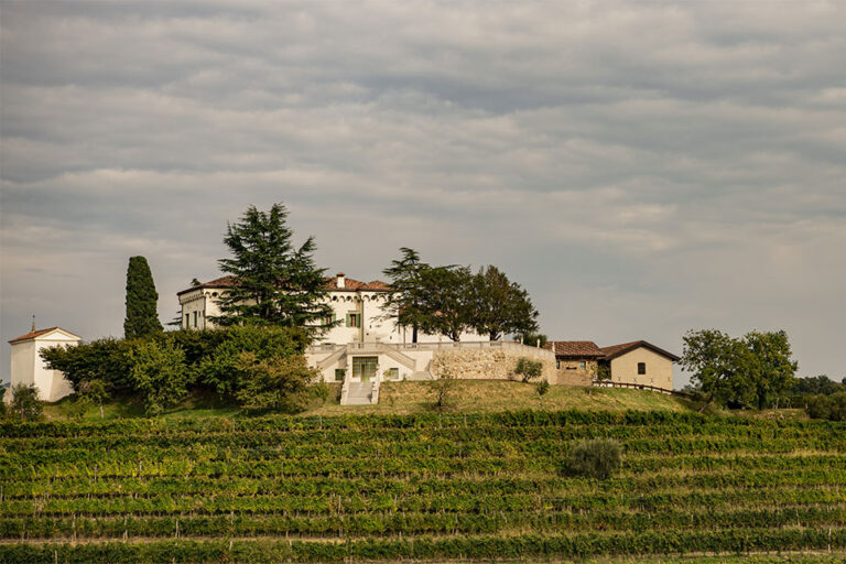 Cantina Torre Rosazza