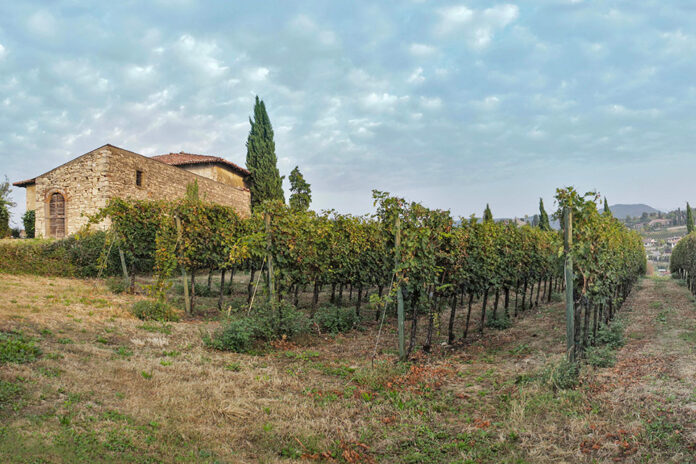 tenuta castello di grumello vigna