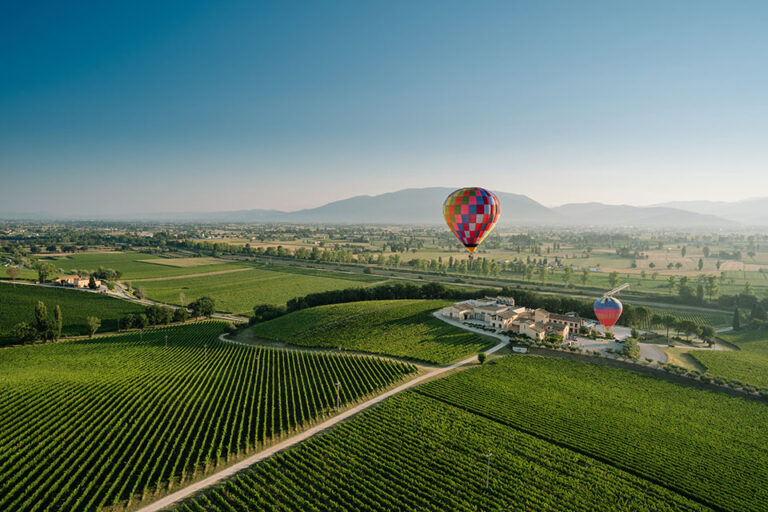 Vigneti Azienda Agricola Arnaldo Caprai