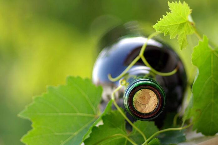 vino sostenibile