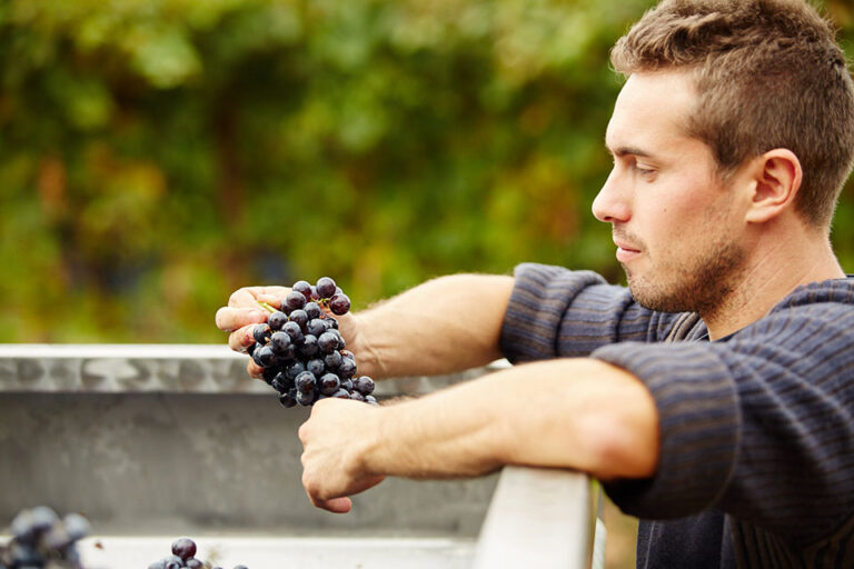 Cantina Gaggiano Viticoltori Marco Fabris