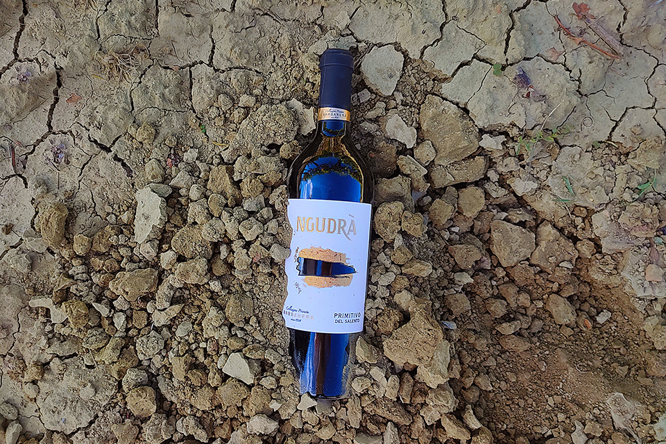 Ngudrà Primitivo del Salento IGT