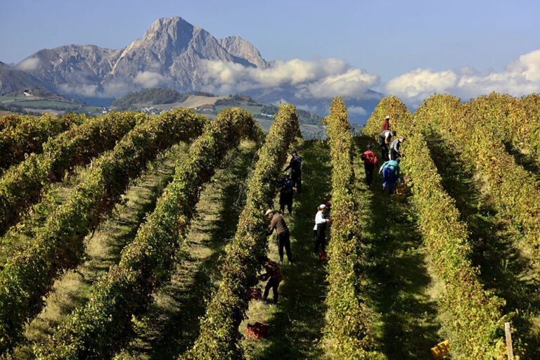 Vini d’Abruzzo: la promozione trascina l’export