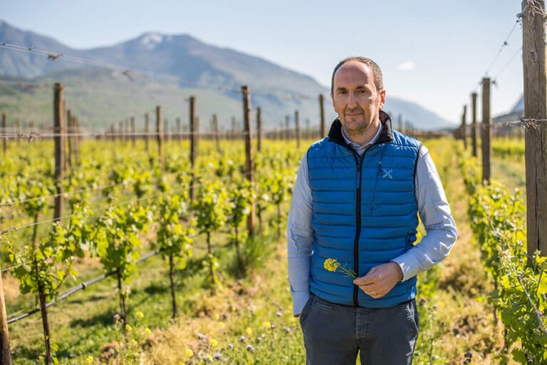 Progetto Impetus: Cantina Toblino per una viticoltura sostenibile in Europa