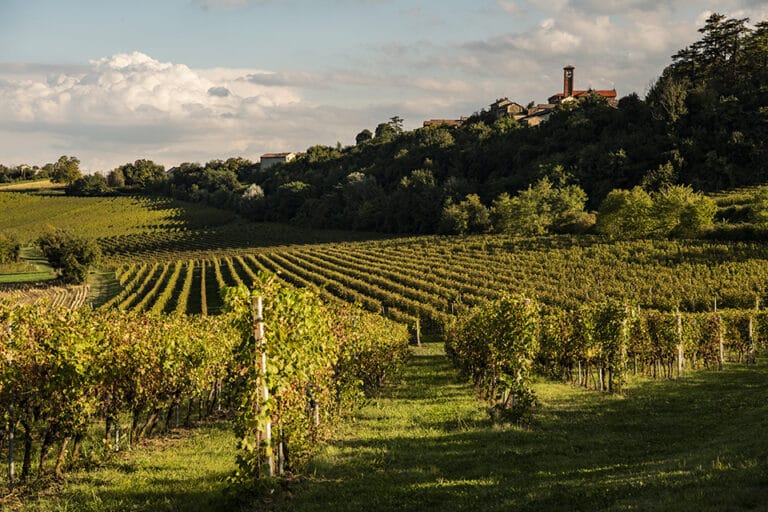 Albarossa Bricco dei Guazzi, il cuore nascosto del Monferrato