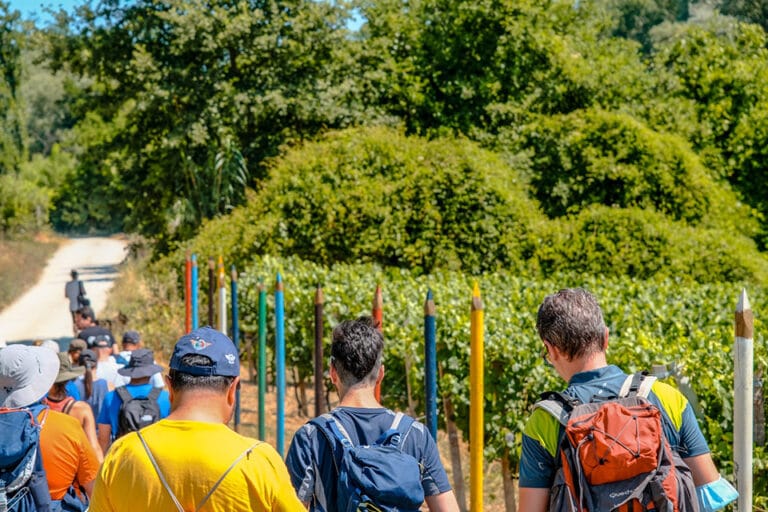 Dal 20 marzo riparte Vigneti Aperti e a Maggio Cantine Aperte 30a edizione