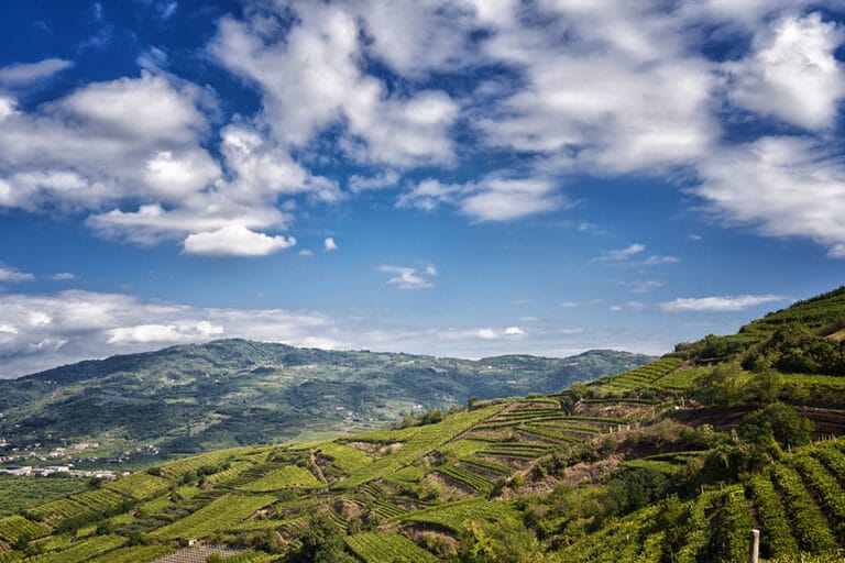 Heva – “Heroes of Europe: Volcanic Agriculture”: è tempo di ripartenza