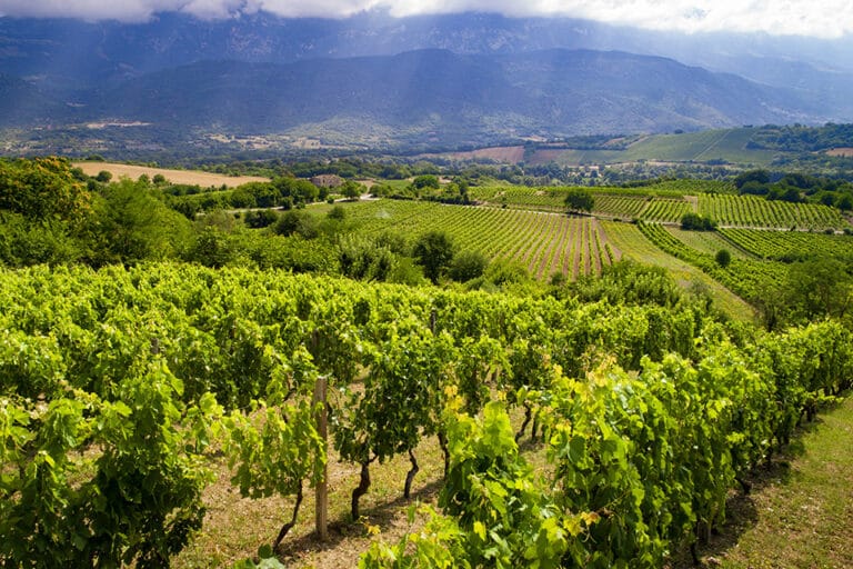 Torna il premio giornalistico “Words of Wine – Parole di Vino”