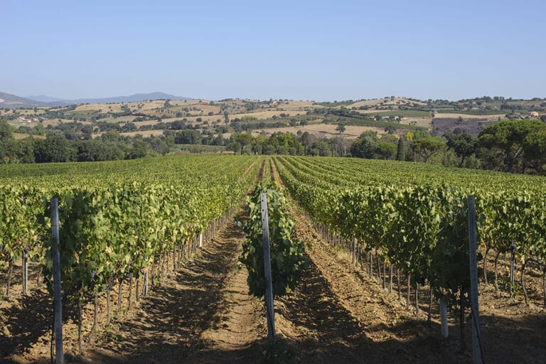 tenuta val delle rose