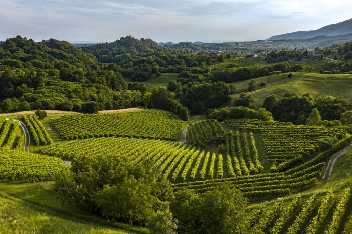 Asolo Prosecco