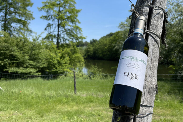 Monte delle Vigne Quattro Laghi Sauvignon biologico Colli di Parma DOC