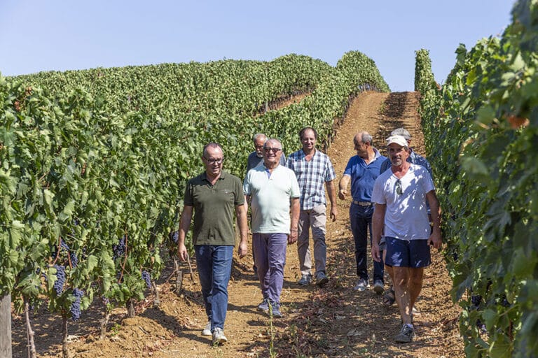 CdA Poderi di Toscana