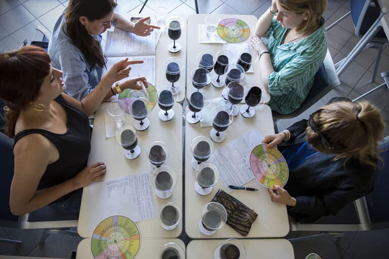 Università di Scienze Gastronomiche di Pollenzo