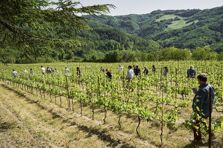 Vini ad Arte 2023: la Romagna in anteprima dal 28 al 30 maggio 2023