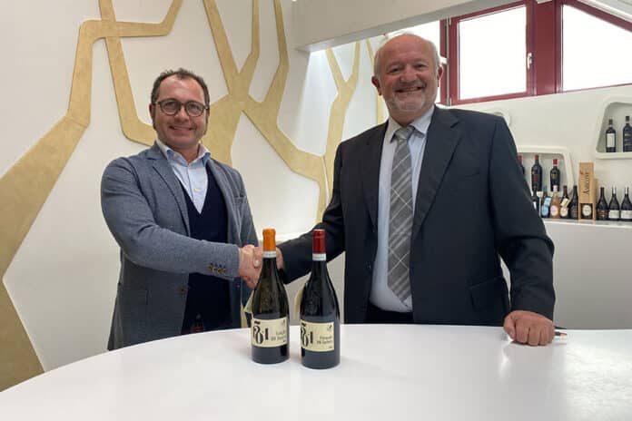 Schenk Italian Wineries investe sul Piemonte