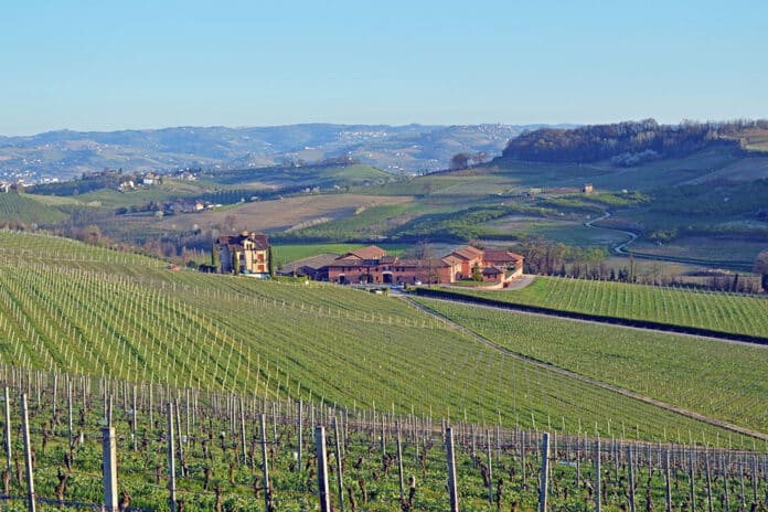 Panorama cantina Tenuta Carretta