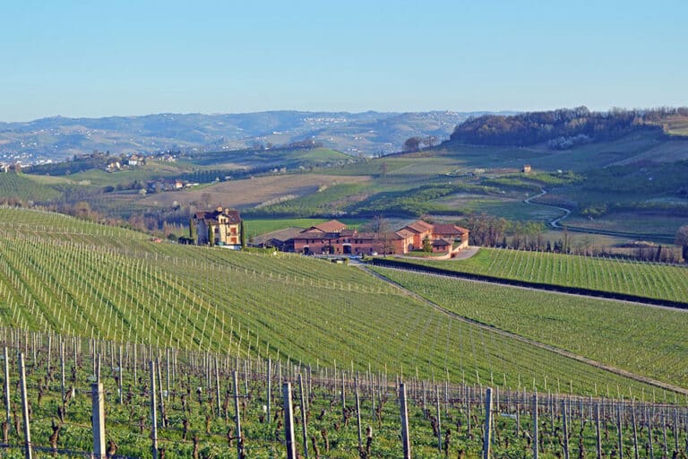 “The estate’s single vineyards” di Tenuta Carretta