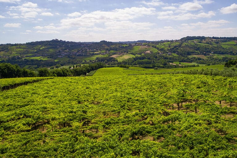 Approvati interventi straordinari per salvaguardare il mercato dei vini d’Abruzzo