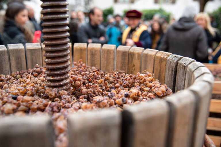 DiVin Nosiola Fototeca Vignaioli Vino santo Trentino