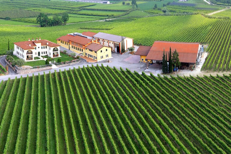 Monte del Frà: con Art-Winery vino e arte si incontrano in cantina