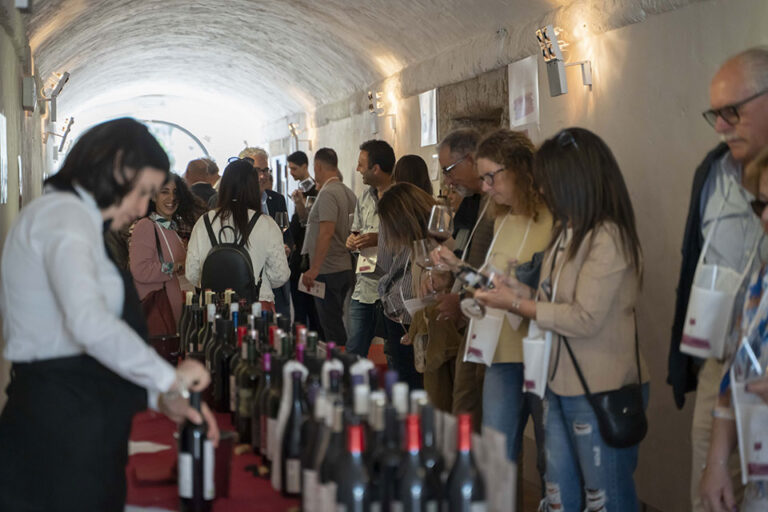 Buona la prima per Ciliegiolo di Maremma e d’Italia
