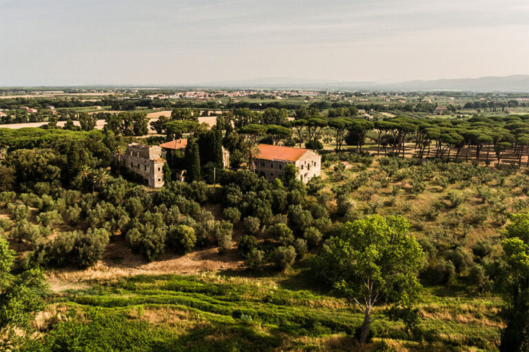 Tenuta Argentiera Bolgheri