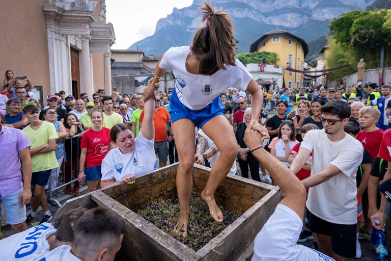 uva e dintorni trentino