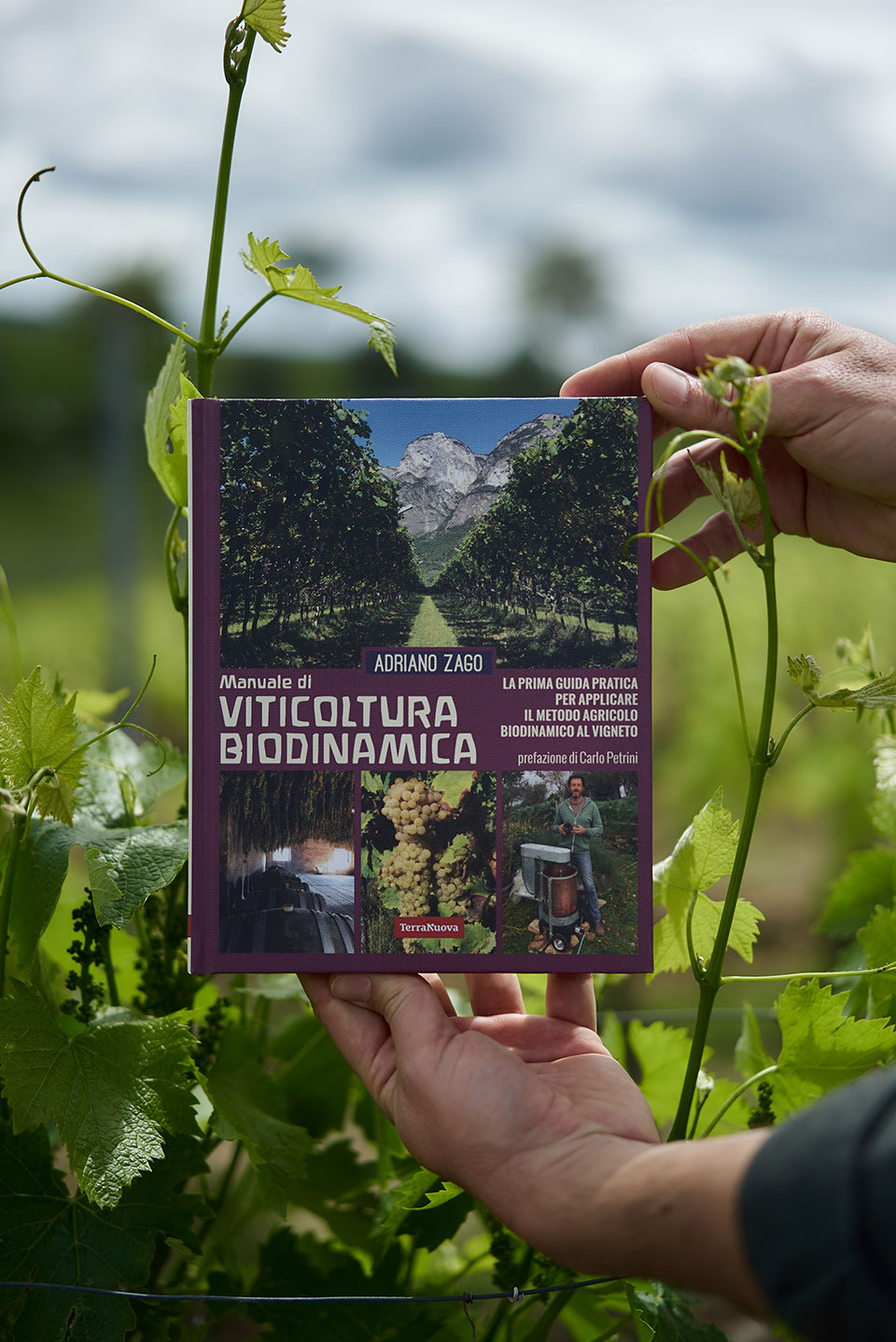 manuale di viticoltura biodinamica libro di adriano zago