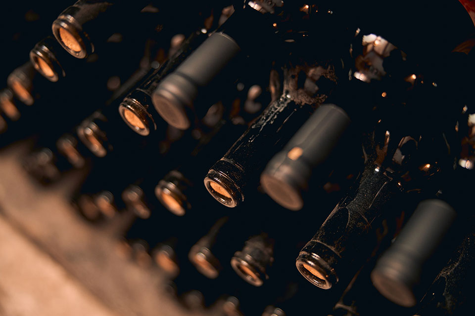 Wine for Smile 2023